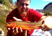 Shane Ritter 's Fly-fishing Pic of a Golden Trout – Fly dreamers 