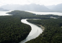 Record beech mast and trophy trout this season on the Waiau River 