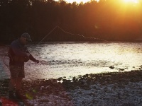 Fly fishing picture