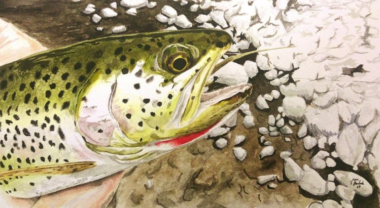 Painted Cutthroat
