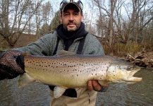 Fly-fishing Image of Brown trout shared by Matt Lemke – Fly dreamers