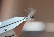 Interesting Fly-tying Image shared by Stig M. Hansen – Fly dreamers