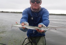 Jessica Strickland 's Fly-fishing Photo of a Needlefish – Fly dreamers 