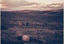 PATAGONIA VINTAGE. Les comparto estas fotos del ultimo viaje a la patagonia por trabajo y por supuesto de placer también, en una escapadita de una semana tuve oportunidad de hacer algunos tiros en la 