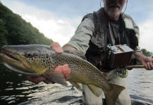 Fly-fishing Picture of Brown trout shared by Len Handler – Fly dreamers