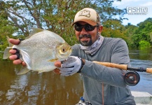 Kid Ocelos 's Fly-fishing Pic of a Pacu – Fly dreamers 