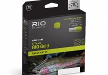 Introducing A New Family of Trout Fly Lines