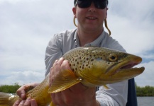 Fly-fishing Picture of Brown trout shared by Billy Hendricks – Fly dreamers