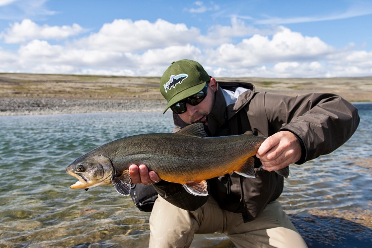 Arctic char is one of the most coolest fish! 