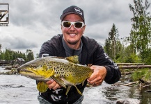 Alexander Lexén 's Fly-fishing Picture of a Brown trout – Fly dreamers 