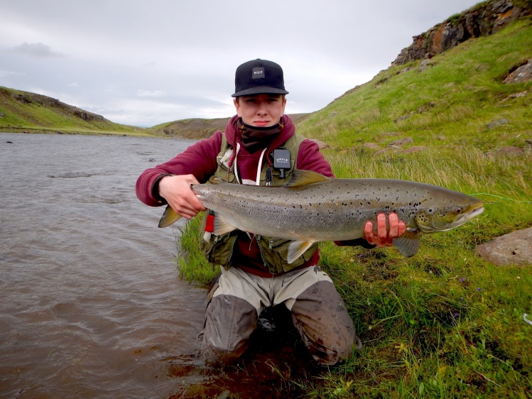 Opening of river Hrutafjardara. Best opening ever! 8 fish landed the first day on only two rods, 75-88cm. This is a 80cm hen fish that took a 1/2" black frances tube in pool Réttarstrengur.