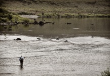  Salmón encerrado – Gran Situación de Pesca con Mosca – Por Martin Carranza