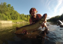 Fly-fishing Image of Muskie shared by Jean-Philip Desjardins – Fly dreamers
