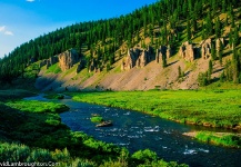 THE GALLATIN RIVER