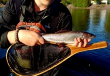 Grayling and nice spots 