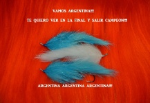 VAMOS ARGENTINA!!!!!!