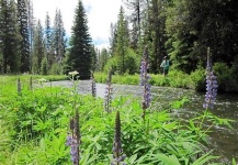 Cool Fly-fishing Situation Photo by Nate Fritts 