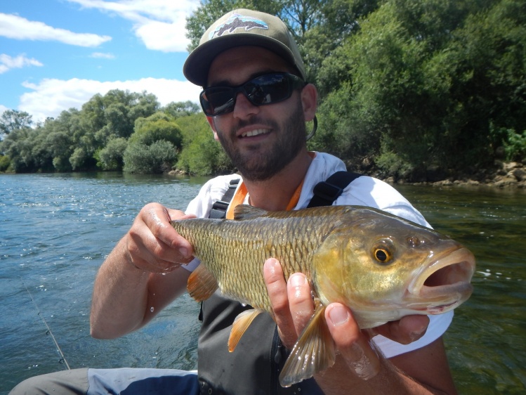 An other chub caught on fly