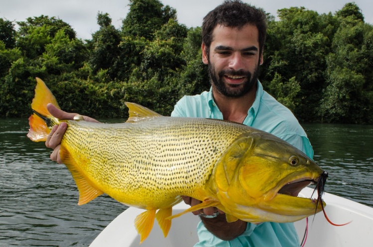 Itá Ibaté, Dorados on The Fly