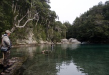 Brown trout Fly-fishing Situation – Alfonso Aragon shared this Nice Image in Fly dreamers 