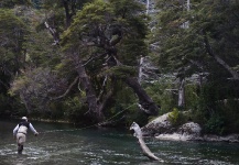 Great Fly-fishing Situation of Brown trout - Picture shared by Alfonso Aragon – Fly dreamers