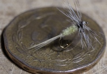  Mira esta Interesante fotografía de atado de moscas de Hector Pinto