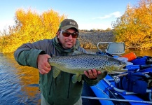 Fly-fishing Picture of Brown trout shared by Esteban Urban – Fly dreamers