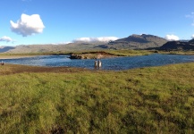 Atlantic salmon Fly-fishing Situation – Elias Petur Thorarinsson  shared this Sweet Image in Fly dreamers 