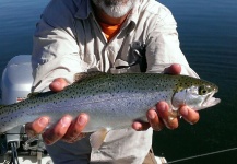Rick Vigil 's Fly-fishing Catch of a Rainbow trout – Fly dreamers 
