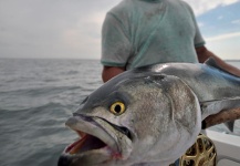 Fotografía de Pesca con Mosca de Anchoa de banco compartida por Taylor Brown – Fly dreamers