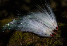 Fly-tying for Striped Bass - Photo shared by Paul Fiedorczuk – Fly dreamers 