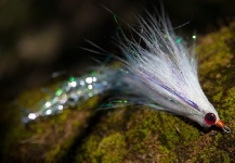 Paul Fiedorczuk 's Fly-tying for Striped Bass - Picture – Fly dreamers 