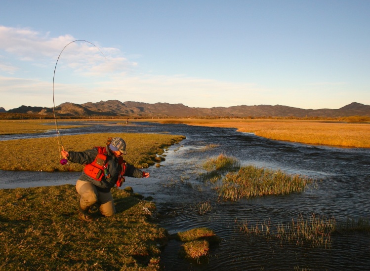 Rio Pico , los bañados 