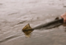  Imagen de Pesca con Mosca de Salmón del Atlántico compartida por Sergio Calero – Fly dreamers