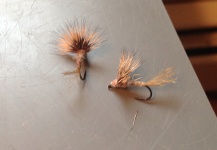 Fly for Rainbow trout - Image shared by Bryan Frey | Fly dreamers