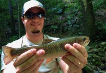  Foto de Pesca con Mosca de eastern brook trout por Brad Billings – Fly dreamers 