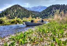 Fly-fishing Gear Image shared by Robert Rabiner – Fly dreamers