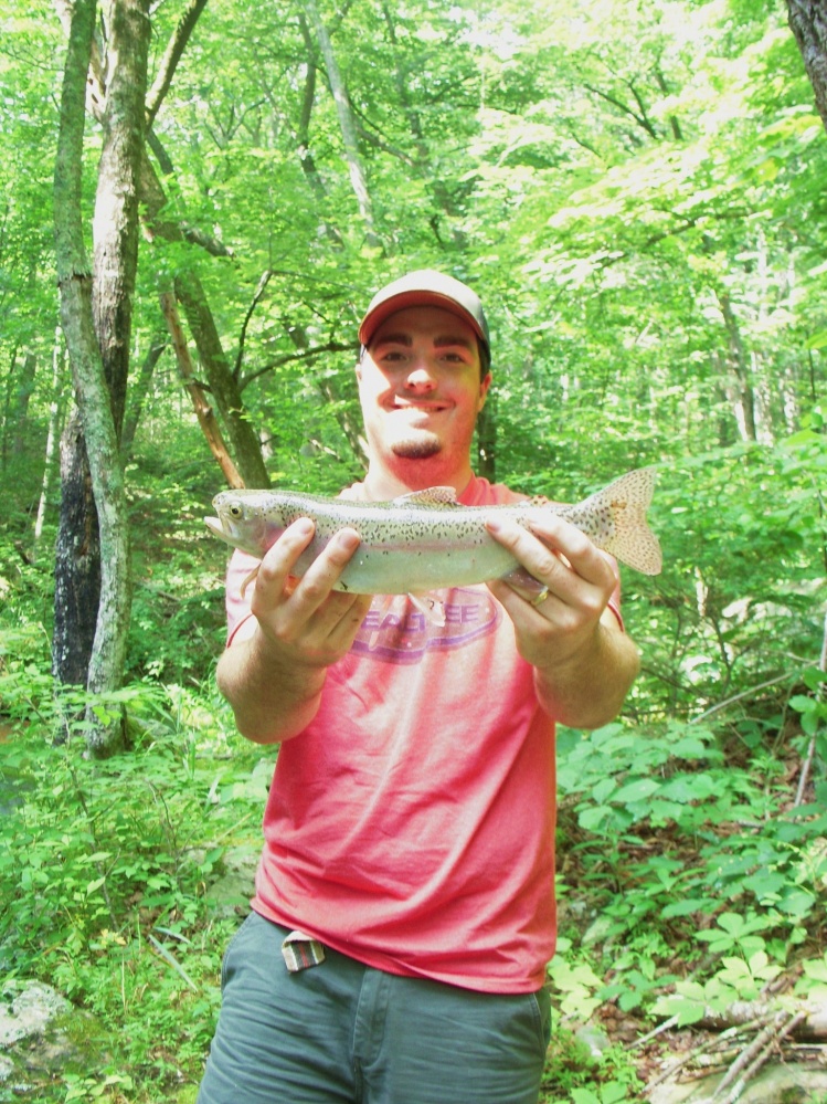 14.5" wild rainbow trout!