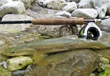 Slovenia  Fly Fishing  's Fly-fishing Photo of a Marble Trout – Fly dreamers 