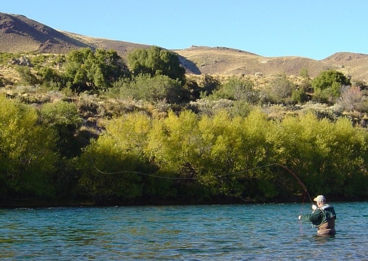 Casteando un ST en el Limay, excelente foto de Marcelino....gracias!!!!!!!