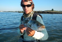 Fly-fishing Photo of Striper shared by Alex Blouin – Fly dreamers 