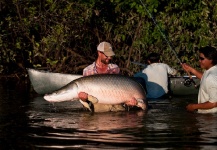 Oliver White 's Fly-fishing Picture of a Arapaima – Fly dreamers 