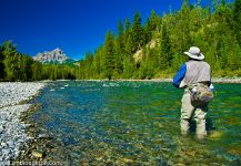 FERNIE, B.C.