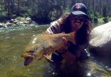  Fotografía de Pesca con Mosca de Trucha marrón compartida por Brett Macalady – Fly dreamers