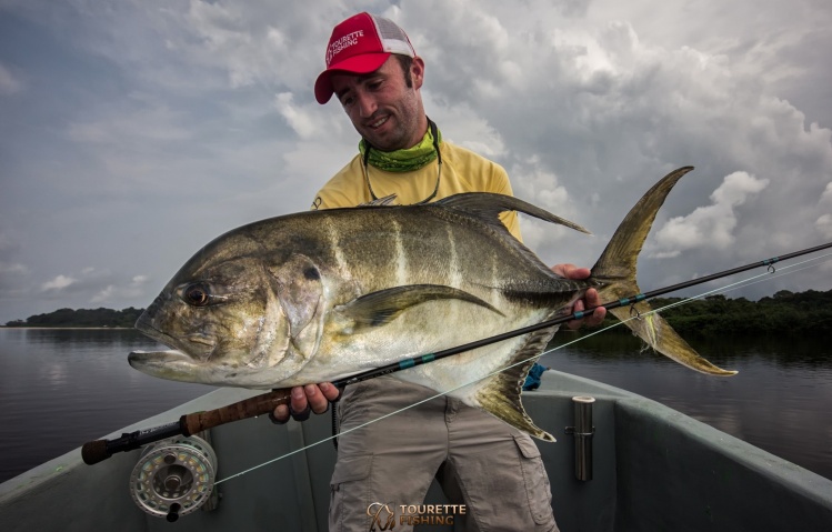 TF guide Mark Murray with a spectacular White fin Jack taken on fly in Gabon. This fish was taken on a small SF baitfish pattern while fishing for juvenile snapper in the mangroves. It took Mark a hard 35minutes to land this beautiful fish.