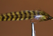 Ariel Garcia Monteavaro 's Fly-tying for Brown trout - Pic – Fly dreamers 