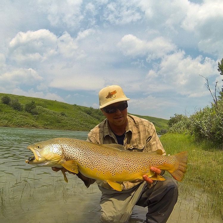 Eastslope Adventures (Southern Alberta, Canada) guide Jason Benson with a MONSTER Brown Trout taken on the Waterton River, just above the lodge July 19th. Get in on some of the best trout fishing in the West at Eastslope. Pat Pendergast / The Fly Shop.