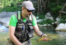  Fotografía de Pesca con Mosca de Trucha marrón compartida por Beniamino Costantini – Fly dreamers