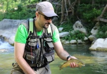 Fly-fishing Photo of Brown trout shared by Beniamino Costantini – Fly dreamers 
