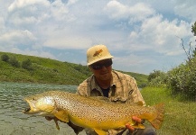 Fly-fishing Photo of Brown trout shared by Patrick Pendergast – Fly dreamers 